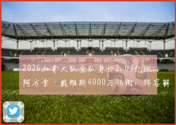 2026加拿大队全队身价2.04亿欧：阿方索·戴维斯4000万领衔，阵容解析与世界排名探讨