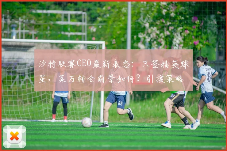 沙特联赛CEO最新表态:只签精英球星,莱万转会前景如何?引援策略深度解析